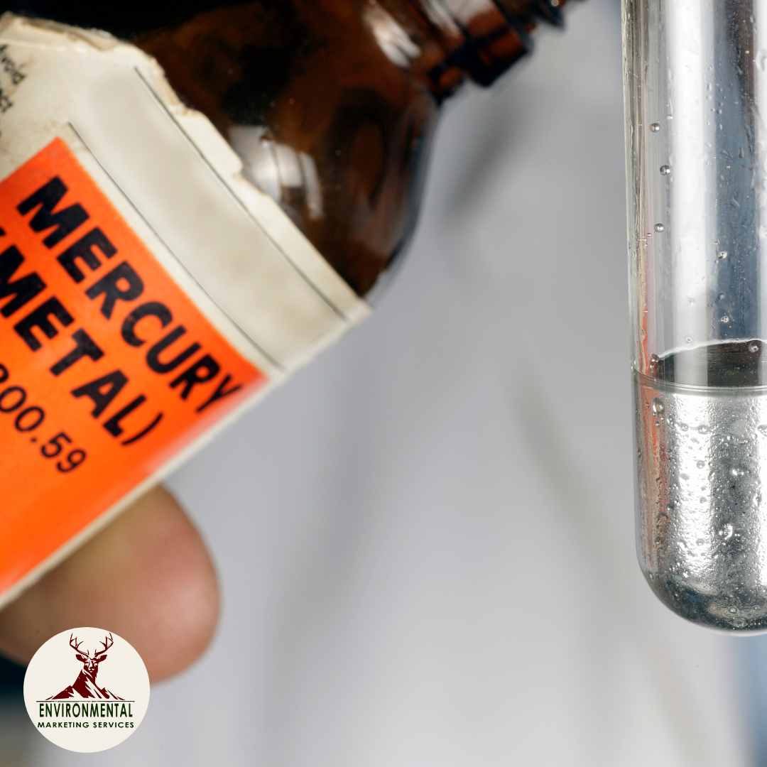 mercury disposal