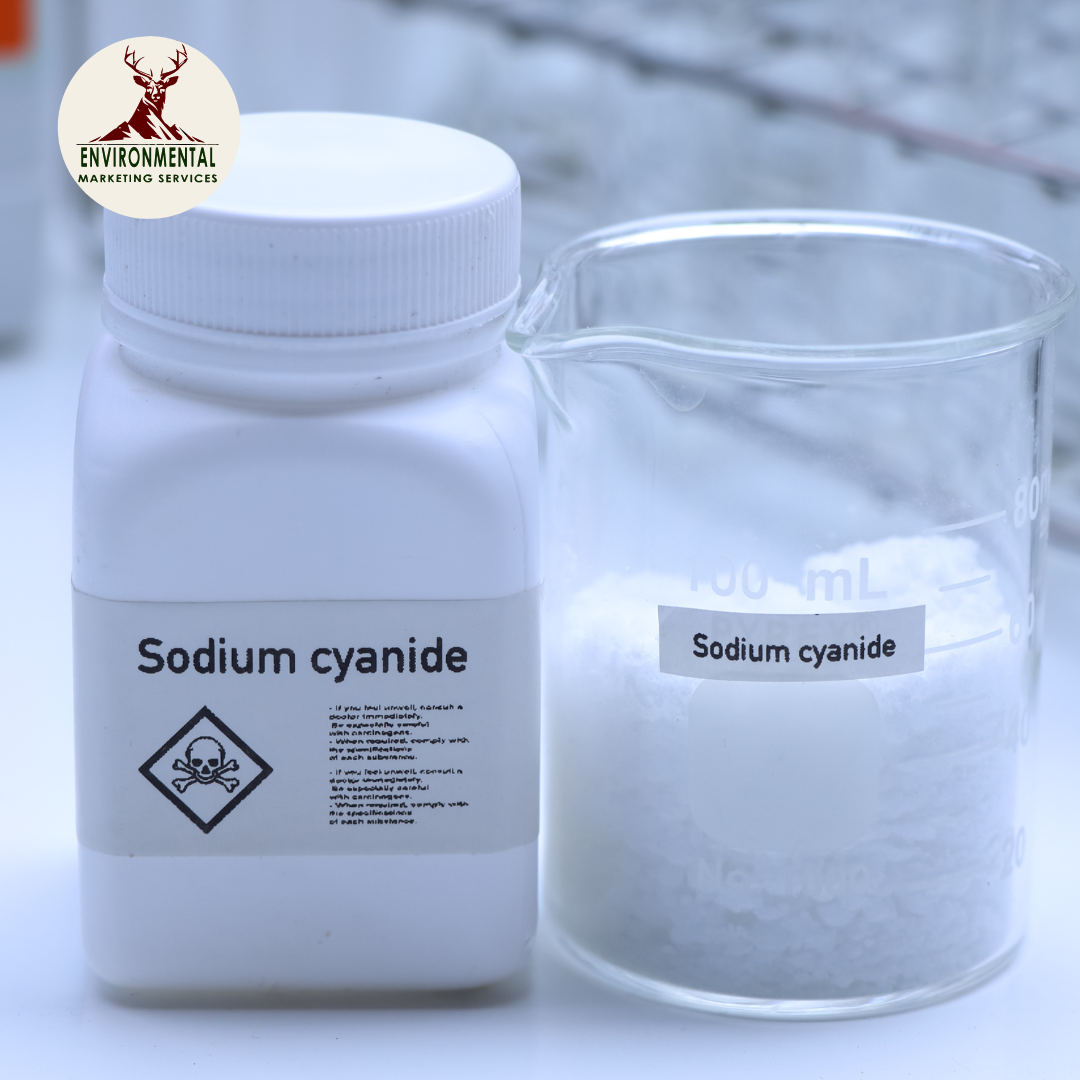 Safe Lab Waste Solutions for Every Season