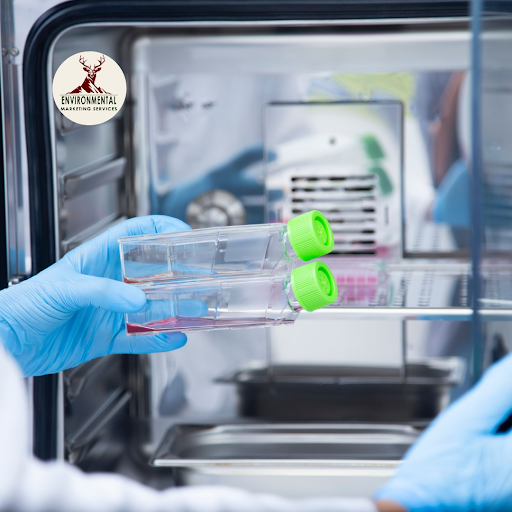 Chemical Waste Disposal