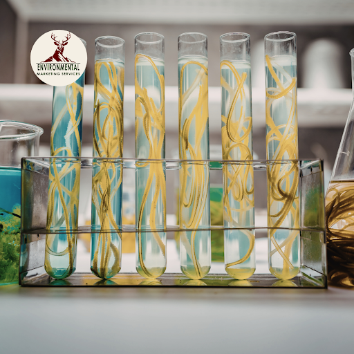 Chemical Waste Disposal