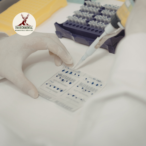 Lab packing