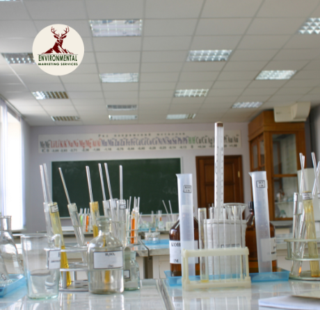 Chemical Waste Disposal in Laboratory