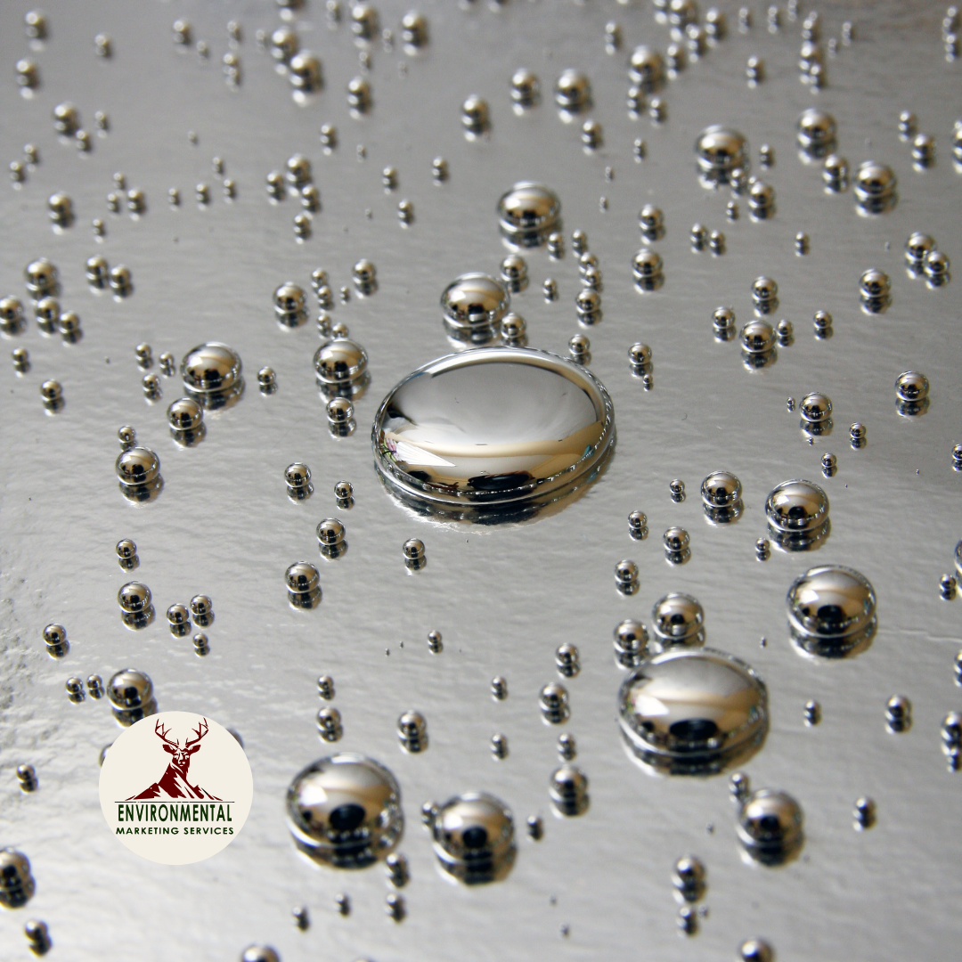 Mercury Disposal